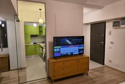 Garsonieră semidecomandată în Banu Manta - 1