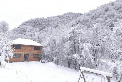 Casă cu 5 camere cu Teren 8000 Mp în Central - 5