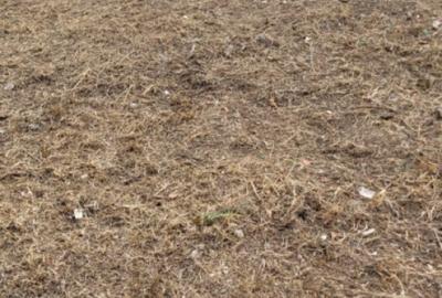 Teren dezvoltare imobiliara Colentina - Maior Bacila Teren dezvoltare imobiliara Colentina - Maior Bacila - 3