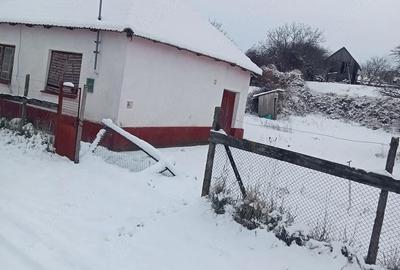 Casă cu Teren 450 Mp în Roșiori - 3