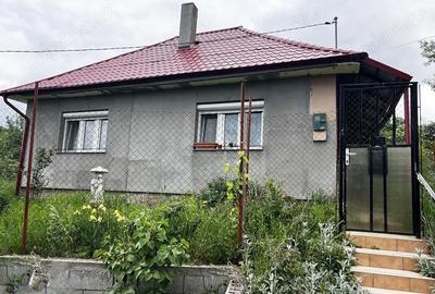 Casă cu 2 camere cu Teren 1295 Mp în Podgoria - 8