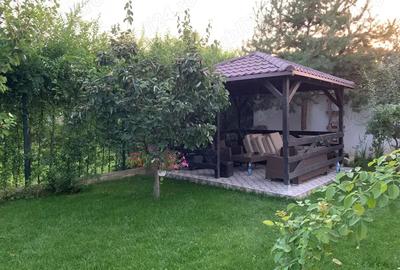 Vanzare Vila tip conac in Domnesti - 2