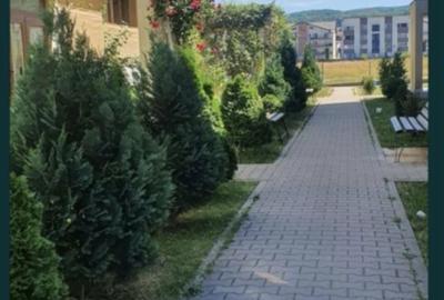 Apartament cu 2 camere semidecomandat în Florești - 7