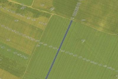 Teren extravilan Pogoanele, ID: R2586845 - 2