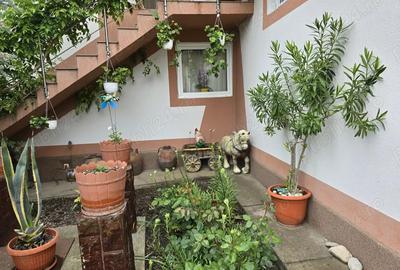 Vand casa plus magazin Vand casa plus magazin - 4