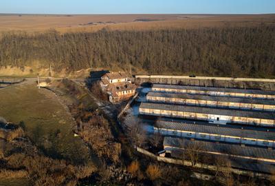 Spațiu industrial, de 50,000 mp, în Horgești - 9
