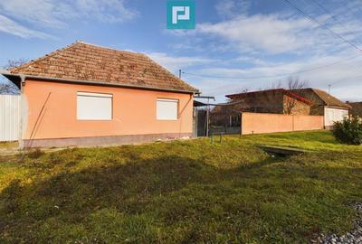 Casa cu teren generos, Turnu - 18