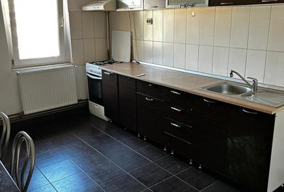 Apartament cu 2 camere semidecomandat, mobilat în Bucovina - 3