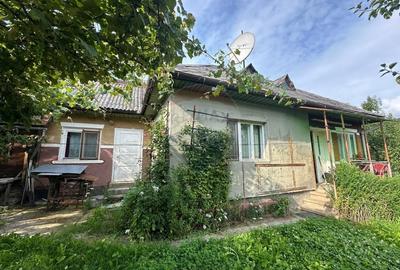 De vanzare GOSPODARIE in BUDESTI/ Maramures - 3