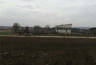 Teren de 8800 mp, în Vinerea - 1