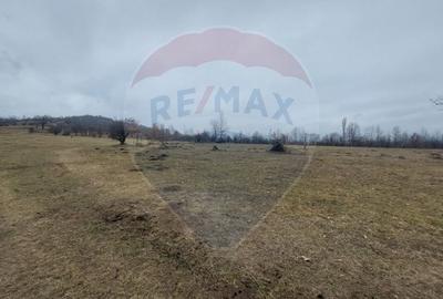 Teren de vanzare Comanesti zona Podina - 9