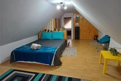 Casa superba de vanzare in Fantanele - 13