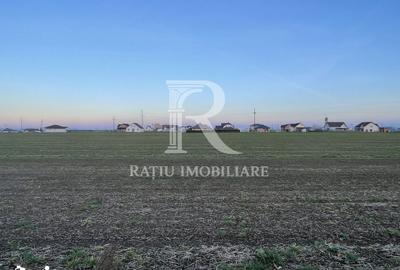 Teren de 500 mp, în Nojorid - 5