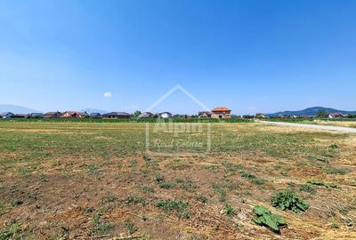 Teren Pretabil Investitie Harman - 12