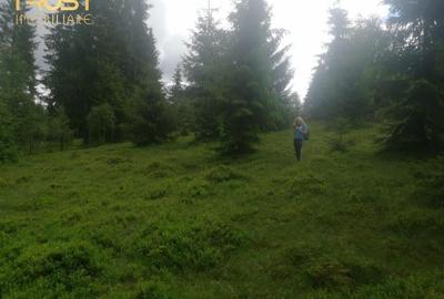 Teren de vanzare, Belis,1300mp, Strada principala, Intravilan - 7