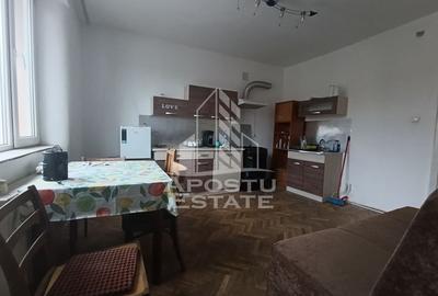 Casa individuala + garaj si anexa, oportunitate investitie, Sagului! - 10