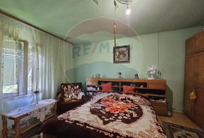 Casă cu Teren 4484 Mp în Fădimac - 15