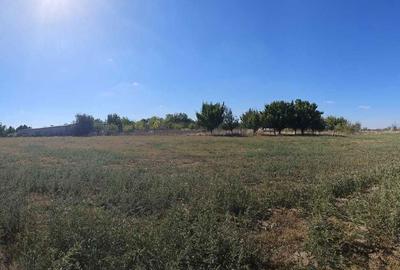 Teren de 16500 mp, în Nord-Vest - 4