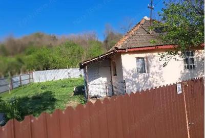 Casa si teren-com. Licurici, loc. Negreni, jud Gorj Casa si teren-com. Licurici, loc. Negreni, jud Gorj - 1