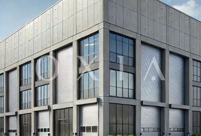 AX1132 Calea Sagului, Platforma Industriala, 7.387 MP - 4