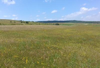 Vand teren intre Popesti si Corusu(jud. Cluj),in apropierea padurii - 8