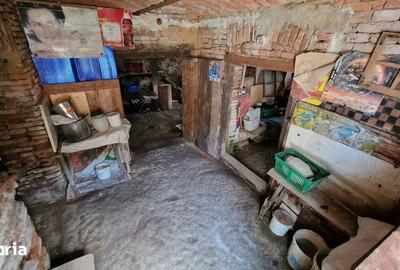Casă cu 4 camere cu Teren 2984 Mp în Chirpăr - 32