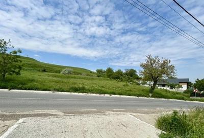 Teren agricol intravilan de 834 mp, în Central - 5
