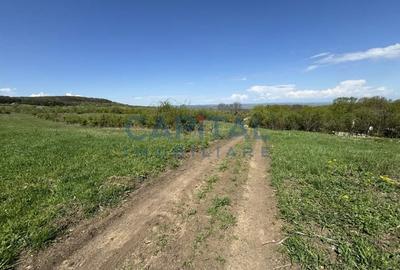 Teren intravilan 2200mp, Front 16m, sat. Padureni, Chinteni - 4