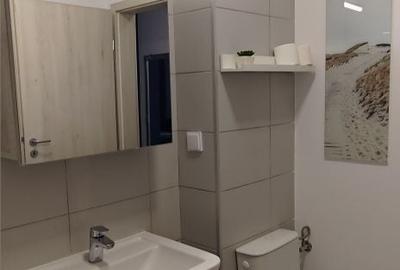 Garsonieră decomandată în Timișoara - 5