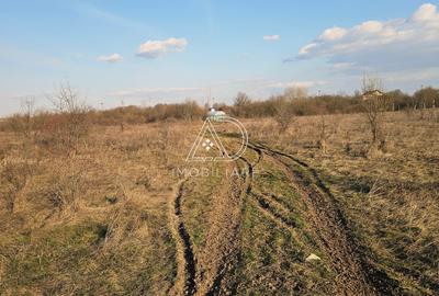 Teren Construcții intravilan de 475 mp, în Narciselor - 6