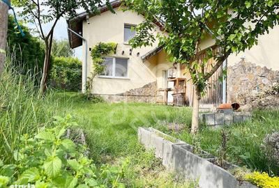 Casă cu 2 camere cu Teren 2052 Mp în Paleu - 11