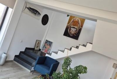 Trocadero, imobil P+2, 235 mp., IDEAL BIROURI Trocadero, imobil P+2, 235 mp., IDEAL BIROURI - 2