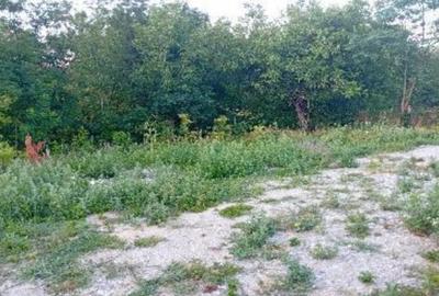 -teren intravilan, loc. Daesti, jud. Valcea - 5