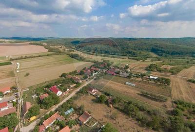 De vanzare Casa traditionala, la doar 20 de minute de Oradea - 43