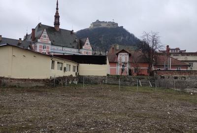 Teren Construcții intravilan de 3929 mp, în Cetate - 2