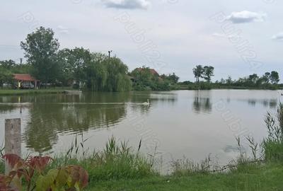 Casă cu 3 camere în Central