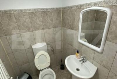 Spațiu comercial, de 455 mp, în George Enescu - 3