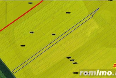 Teren extravilan arabil Ardeoani, ID: R1983077 - 3