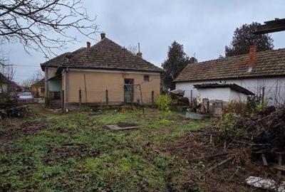 Casă cu 3 camere cu Teren 2500 Mp în Vetiș - 3