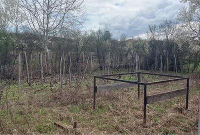 Casă cu Teren 1100 Mp în Cârbești - 3