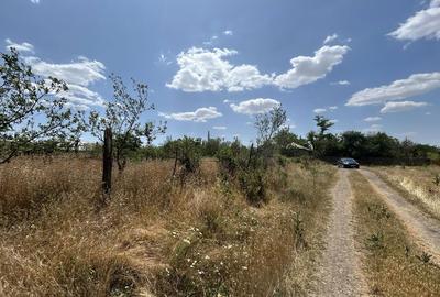 Spațiu comercial, în Tudor Vladimirescu - 1
