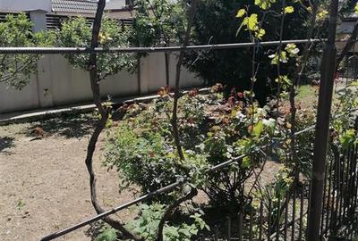 Casă individuală cu 5 camere cu Canalizare în Vărsătura - 2