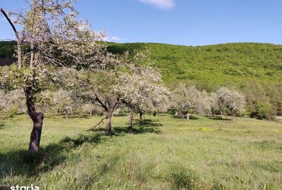 Teren de 680 mp, în Budeasa - 10