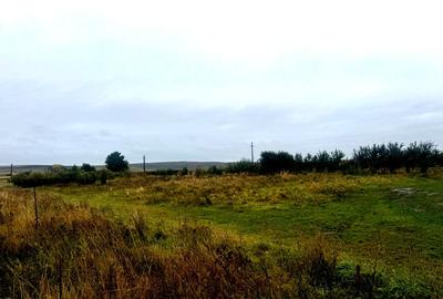 Vanzare 10.000 mp teren Liteni Suceava- la strada -potrivit proiect fonduri - 14