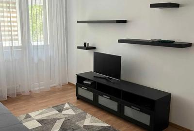 Apartament cu 2 camere decomandat, mobilat în Gorjului - 2