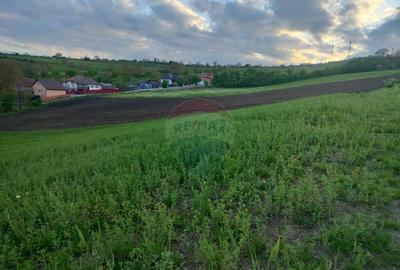 Teren intravilan Tarnaveni Teren intravilan Tarnaveni - 2