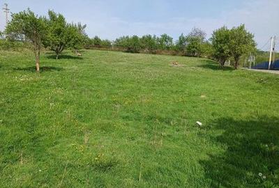 Teren de 2443 mp, în Berevoești - 2
