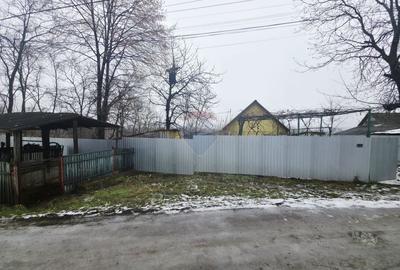 Teren Construcții intravilan de 4516 mp, în Doina - 6