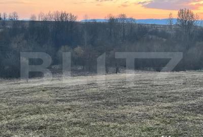 Teren de 27759 mp, în Central - 4