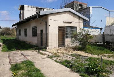 Inchiriez hala si locuri de parcare in curte ingradita pe Calea Torontalului - 1